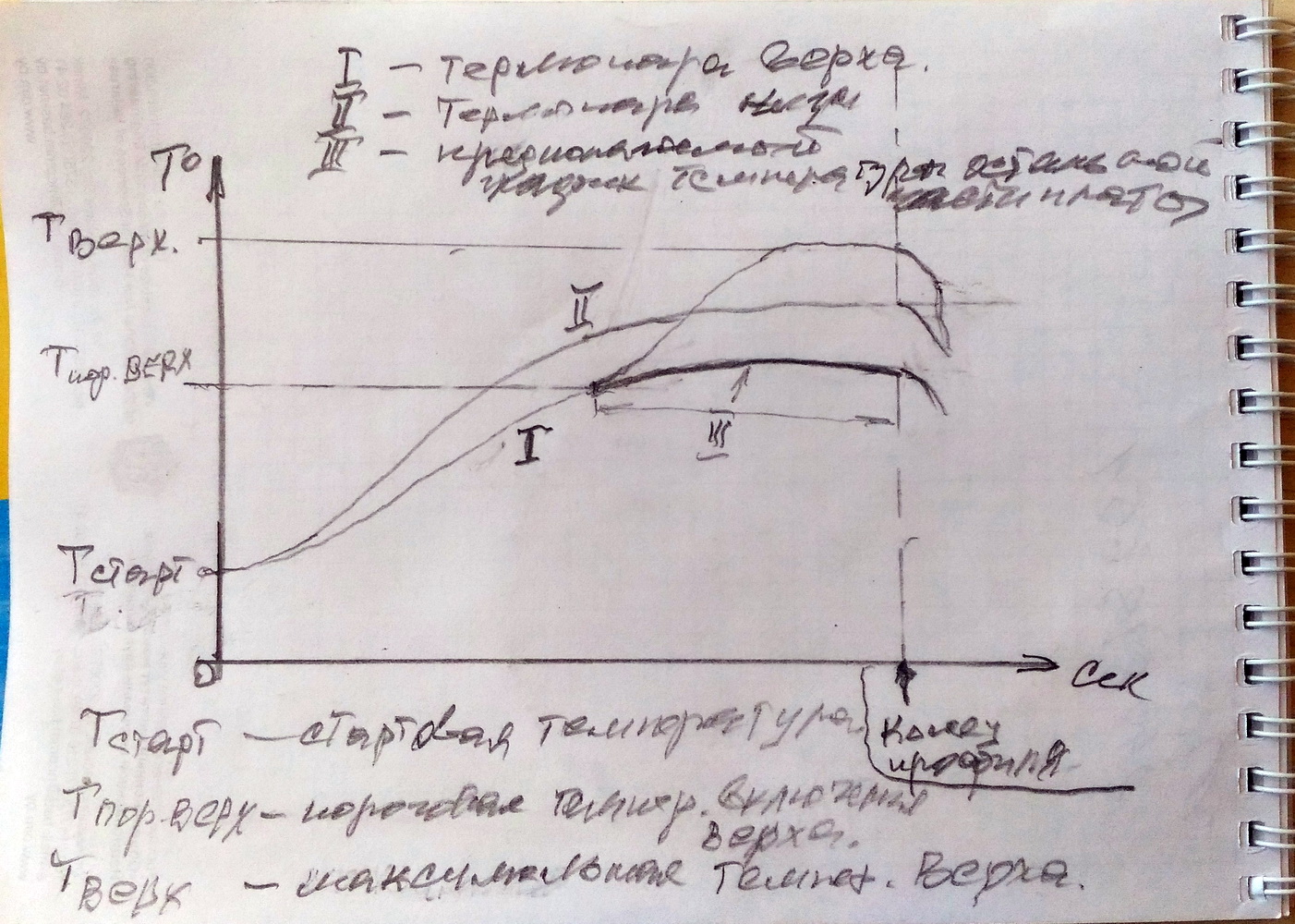 P_20200205_1.jpg