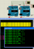 SPI_Slave.PNG