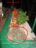 IMG_1924-2.jpg