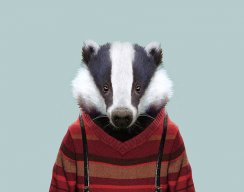 Badger